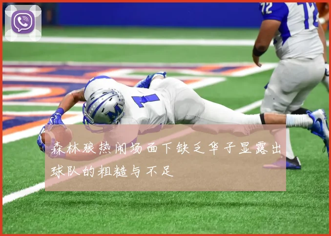 森林狼热闹场面下缺乏华子显露出球队的粗糙与不足