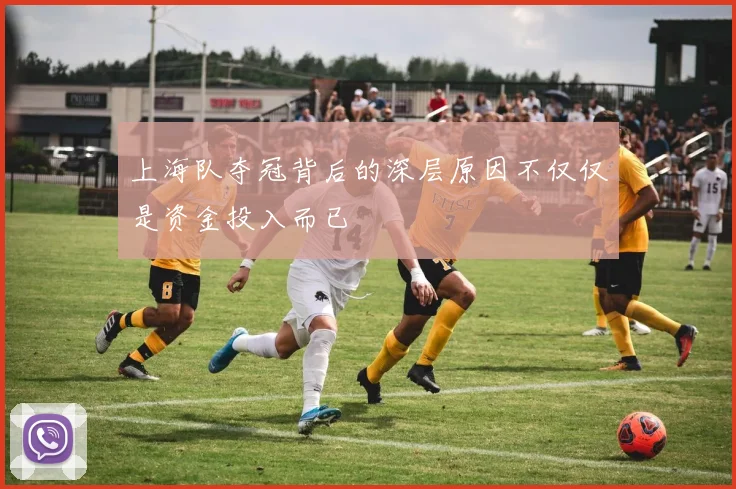 上海队夺冠背后的深层原因不仅仅是资金投入而已